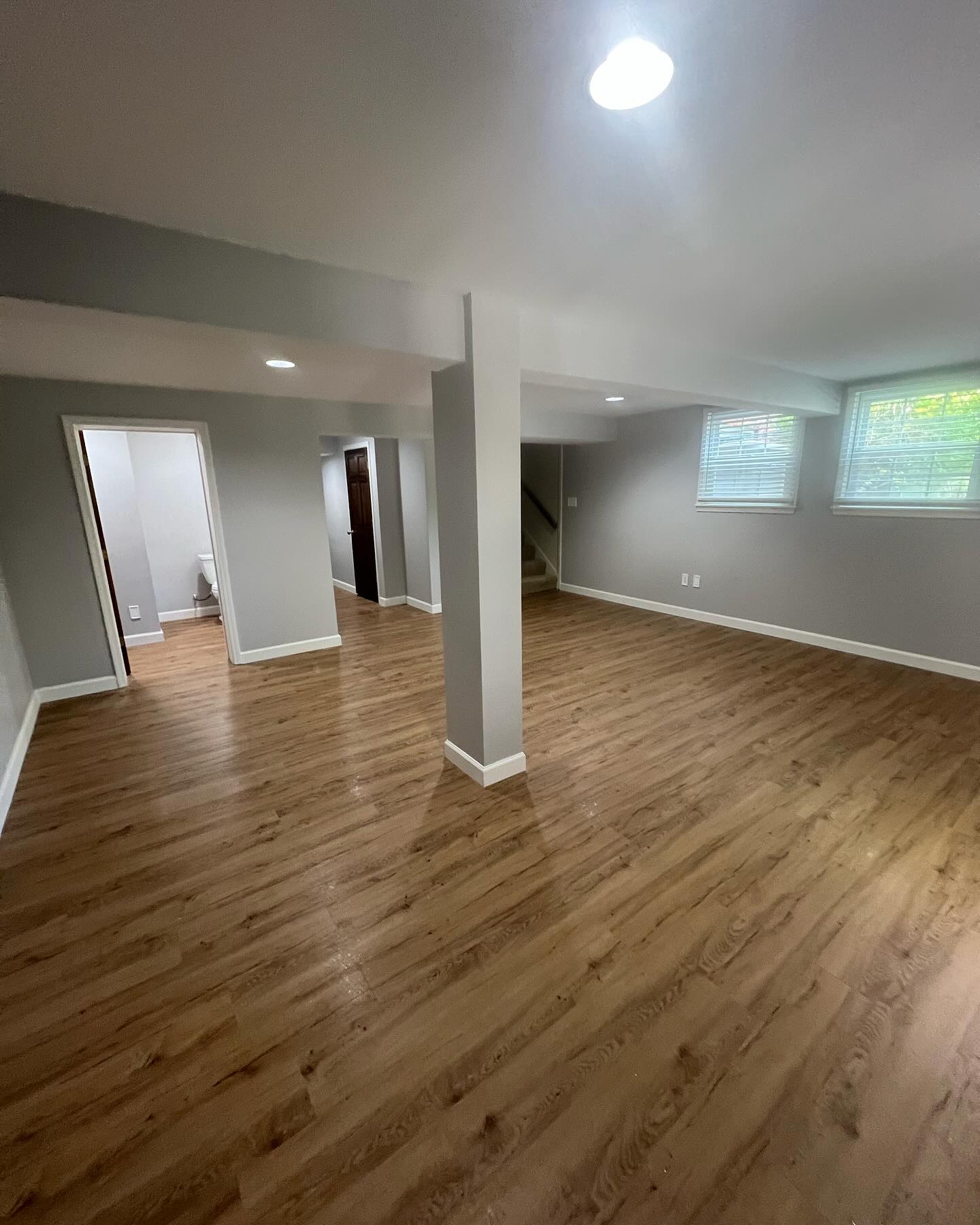 Full Basement Remodel